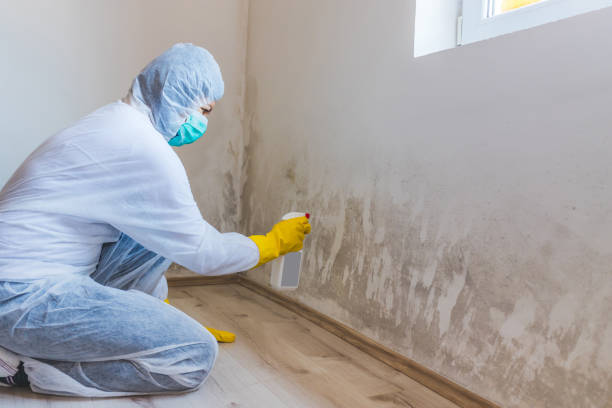 Licensed Crawl Space Mold Removal service in Hackensack, NJ - WQB Mold Removal