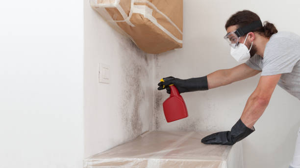 Professional Crawl Space Mold Removal technician working in Hackensack, NJ