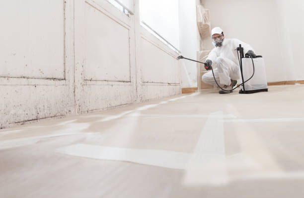 24/7 Emergency Crawl Space Mold Removal experts in Hackensack, NJ