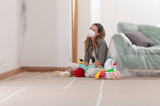 Reliable Crawl Space Mold Removal contractor in Hackensack, NJ by WQB Mold Removal