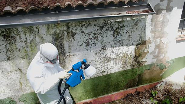 Top rated local Crawl Space Mold Removal specialists in Hackensack, NJ